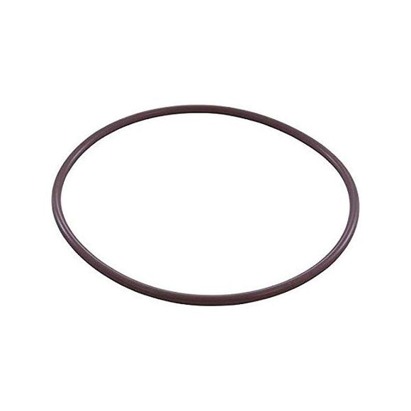 Pentair R172223 O-Ring Compatible Replacement